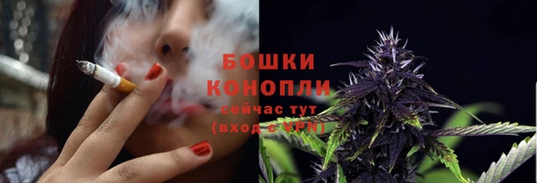 спайс Болотное